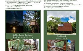 Treeful Treehouse Sustainable Resort  5*