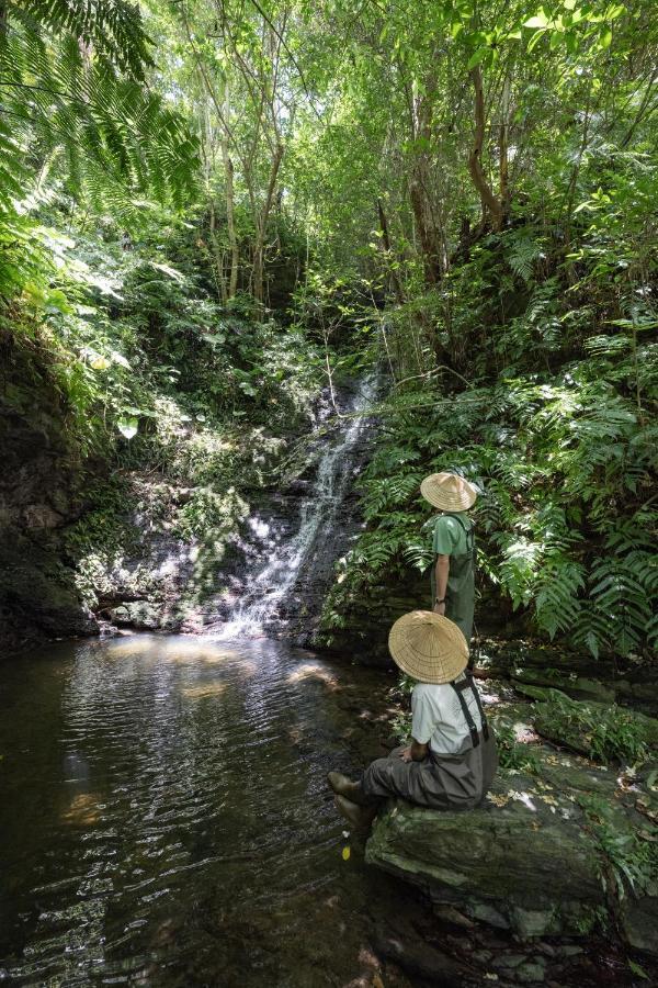 Treeful Treehouse Sustainable Resort 名護市 エクステリア 写真